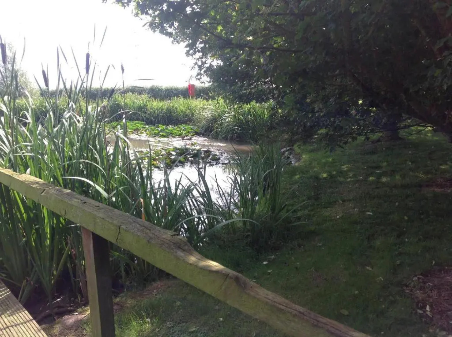 The Oak Eco Barn Clematis Cottages Stamford