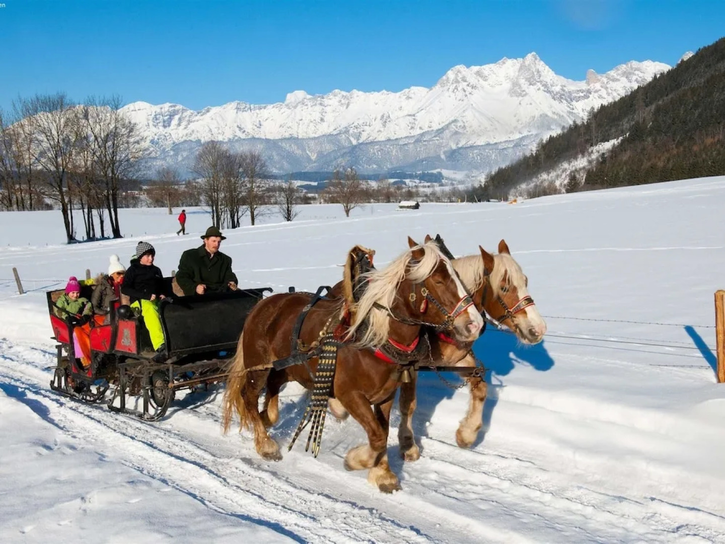 Spacious Chalet in Maishofen near Forest