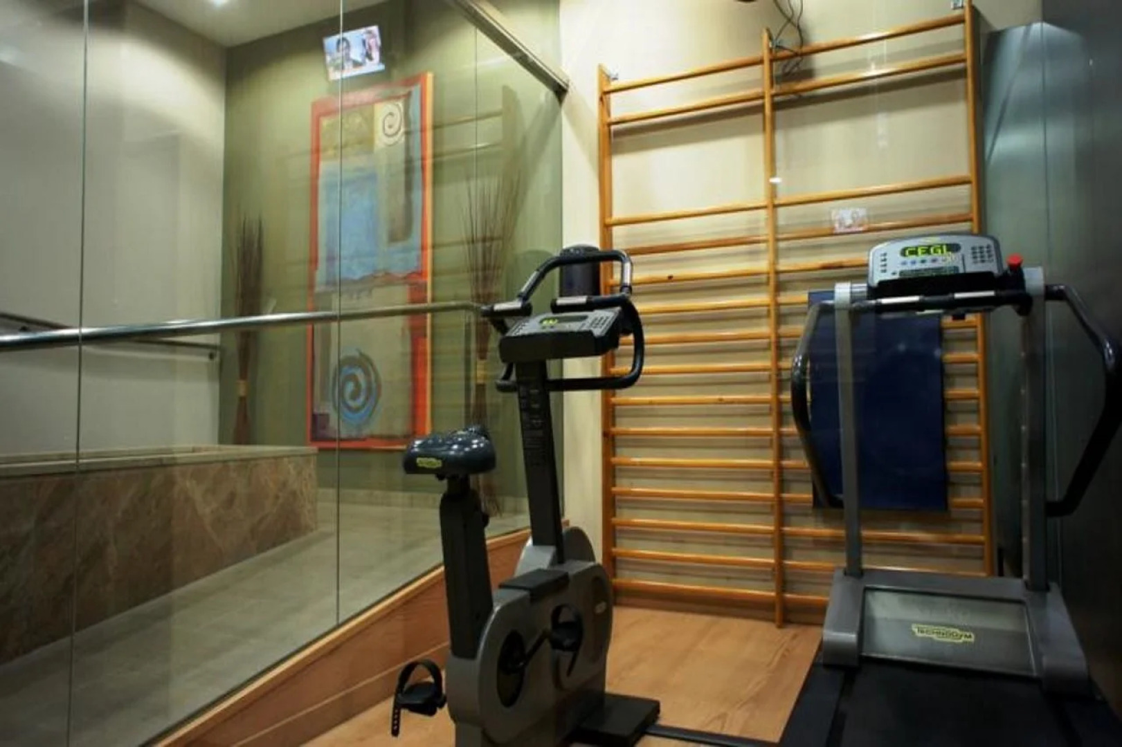 Hotel SPA Termes Carlemany