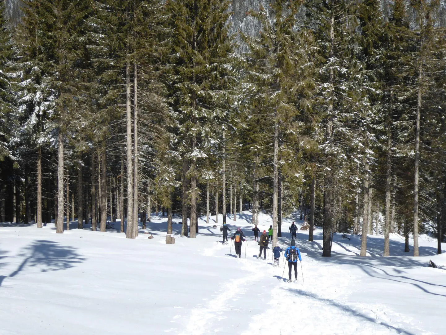 Attractive apartment in Carano with balcony/terrace