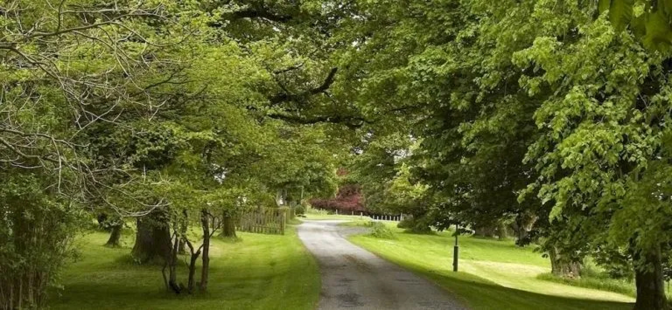 The Urr Valley Country House Hotel