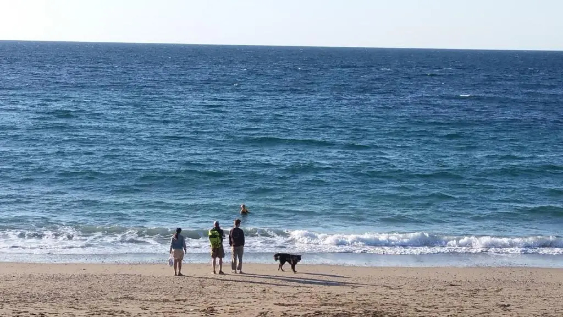 Wesley House Holidays - Choice of 2 Quirky Cottages in 4 private acres