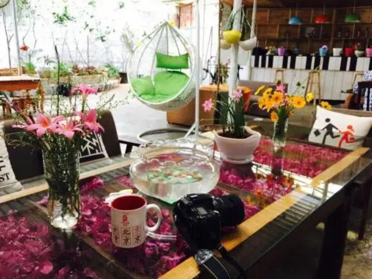 Blooming Azaareas International Youth Hostel