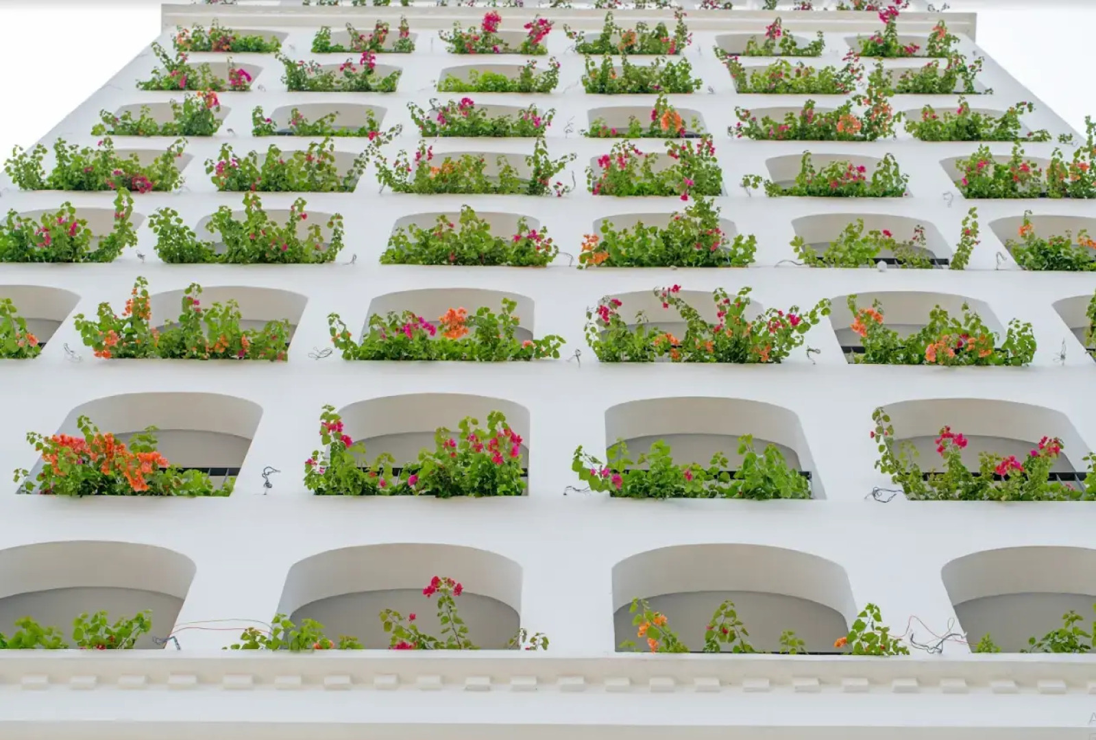 Gold Plaza Hotel Da Nang