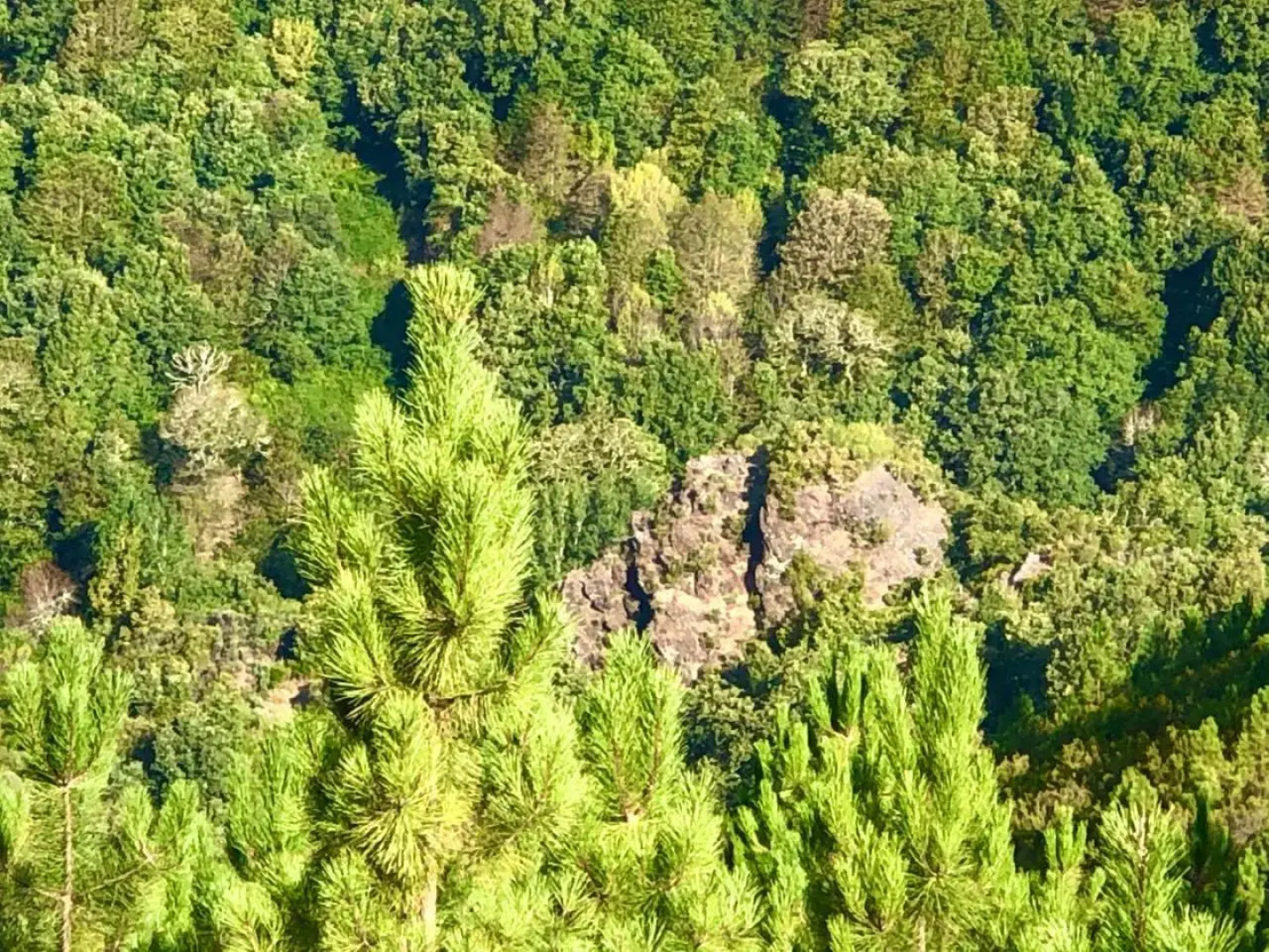 Pensión Blanco Conde
