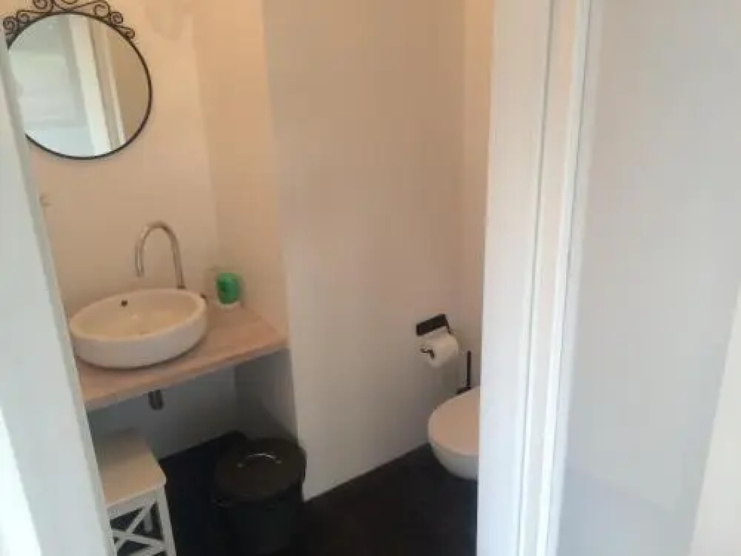 Chamedafne w Puszczy Kampinoskiej