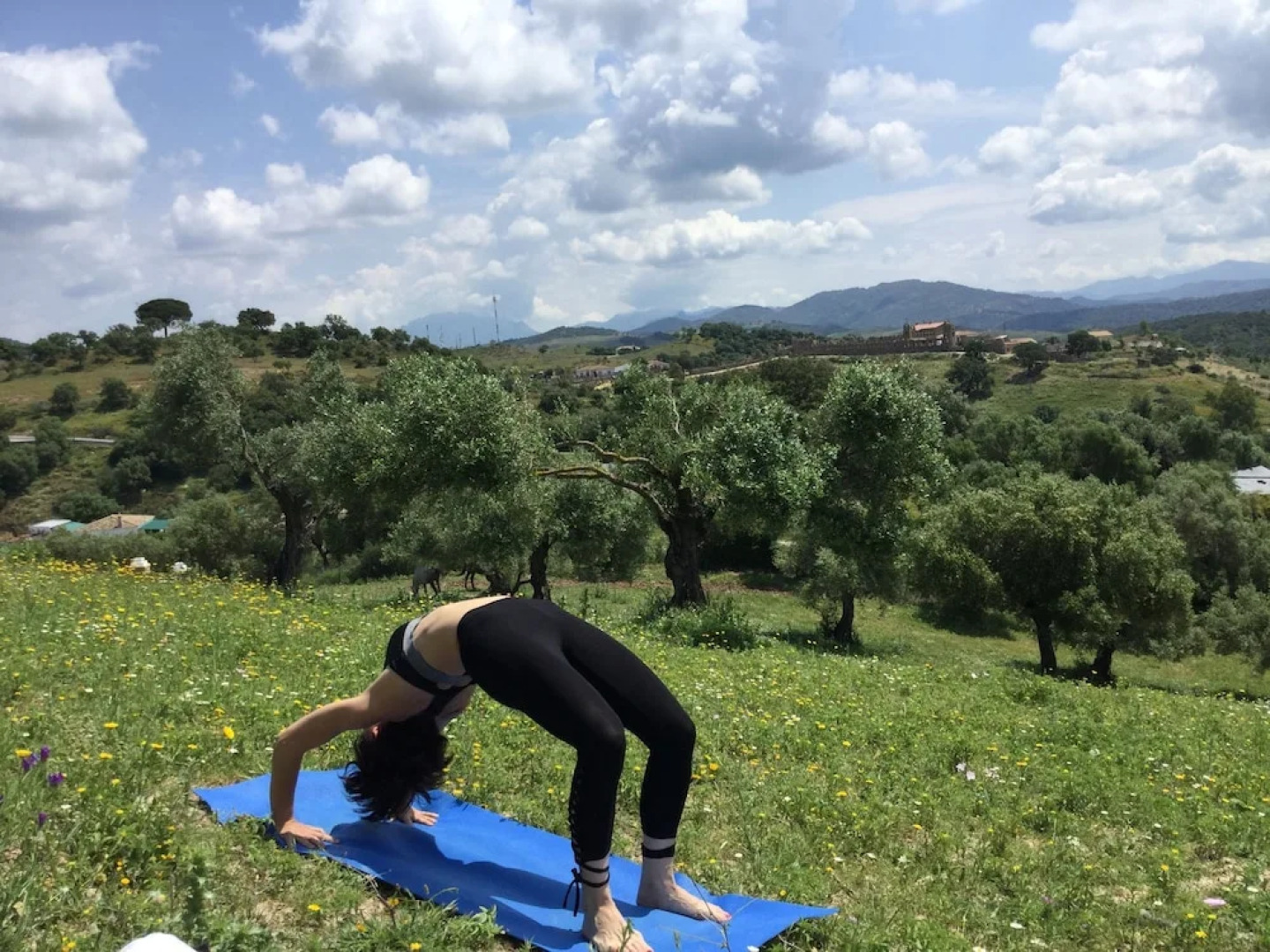 Cottage Cuernavaca Ranch