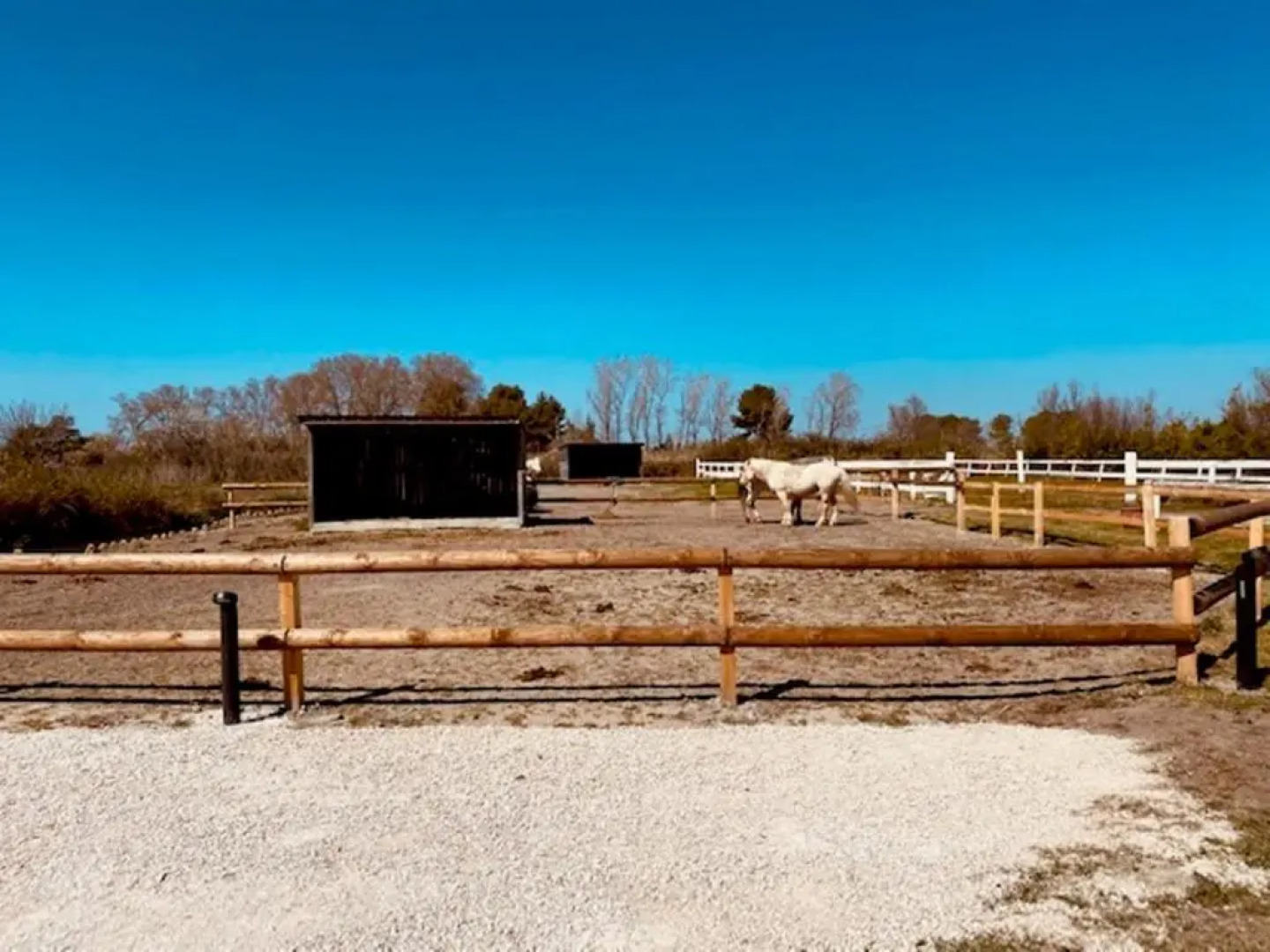Chambre d'Hôte face à la piscine en Camargue - Mas Lou Caloun - Les Saintes Maries de la Mer