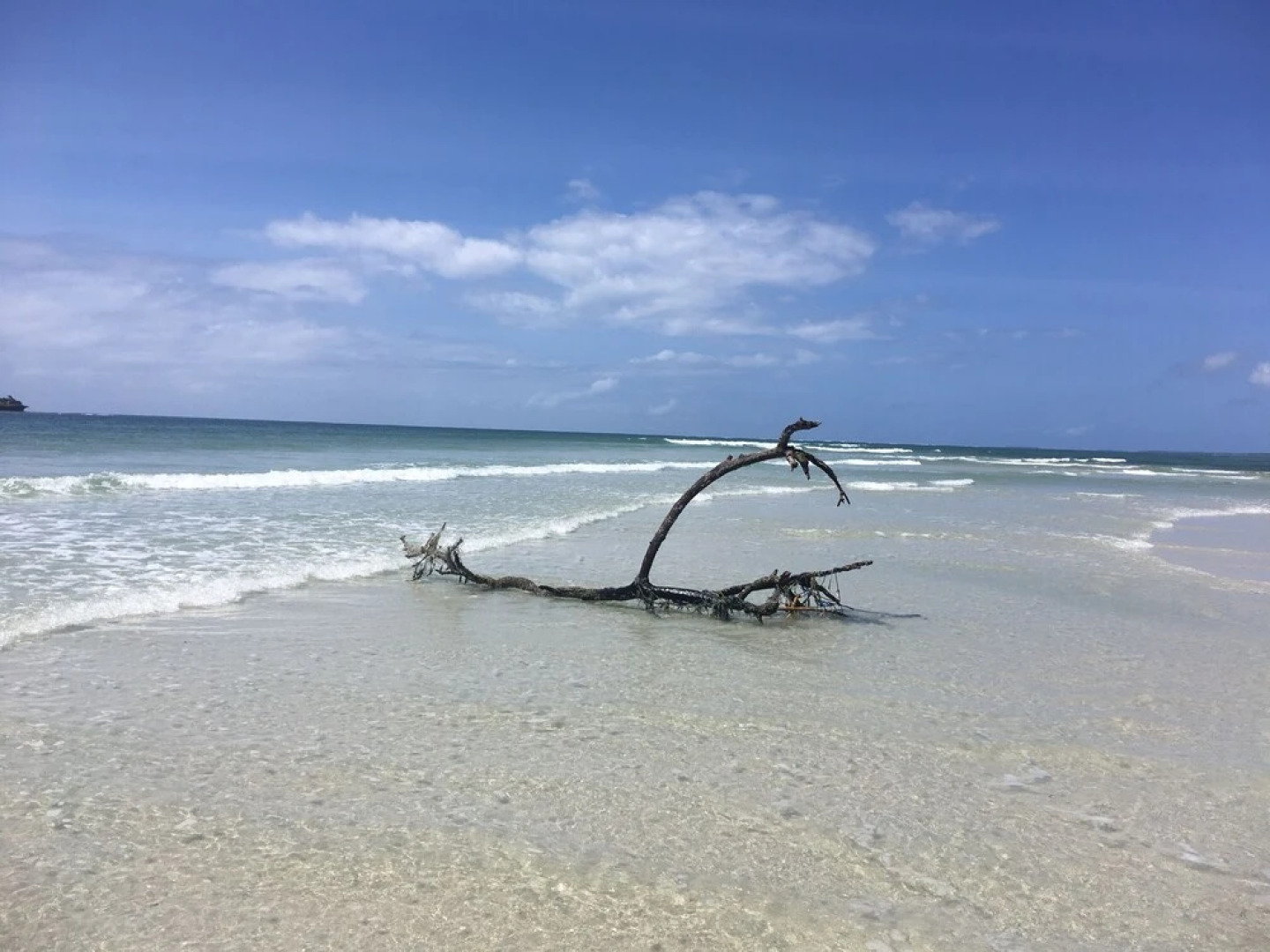 Room in Guest Room - Dolphin Suite 40 m2 in Villa 560 m2, Indian Ocean View