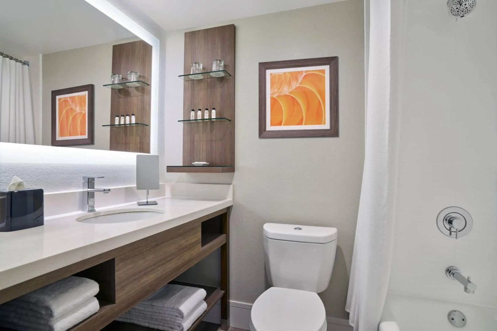 Holiday Inn Chicago,il-willowbrook-hinsdale