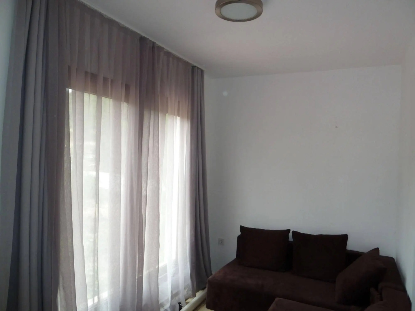 Pitahaya Home