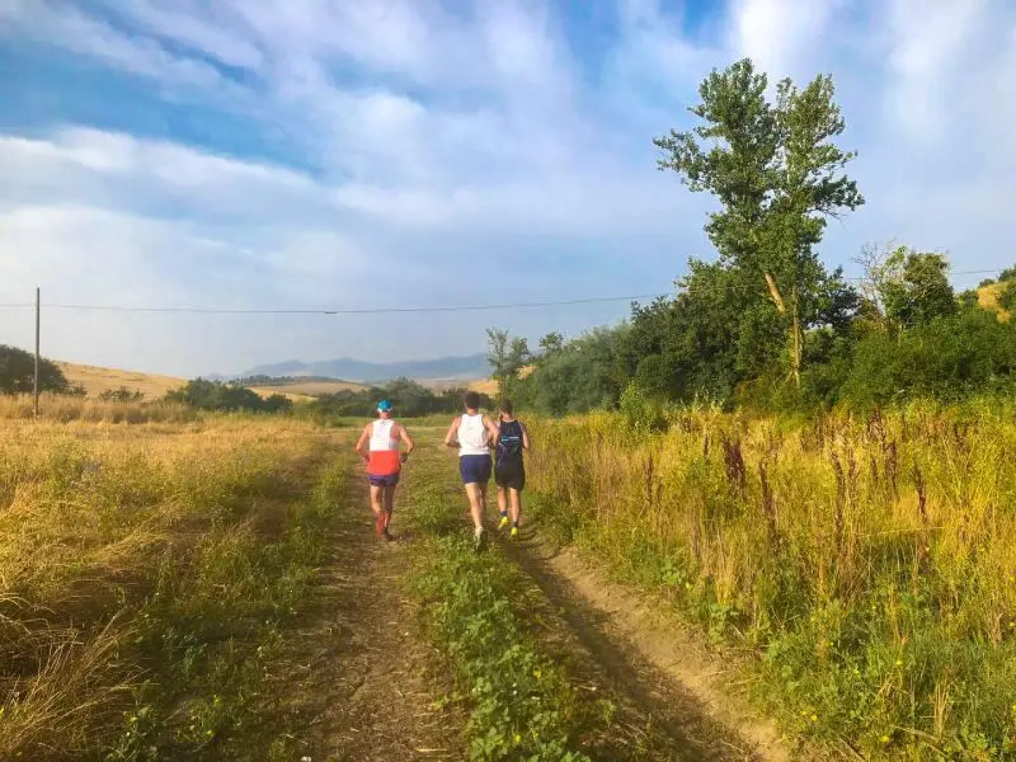 Diacceroni B&B Organic Farmhouse