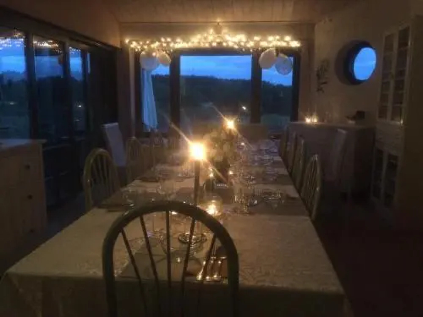 Chamedafne w Puszczy Kampinoskiej