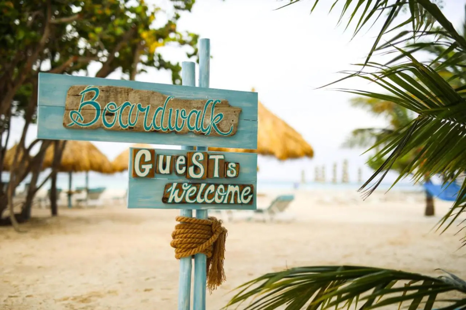 Boardwalk Boutique Hotel Aruba - Adults Only
