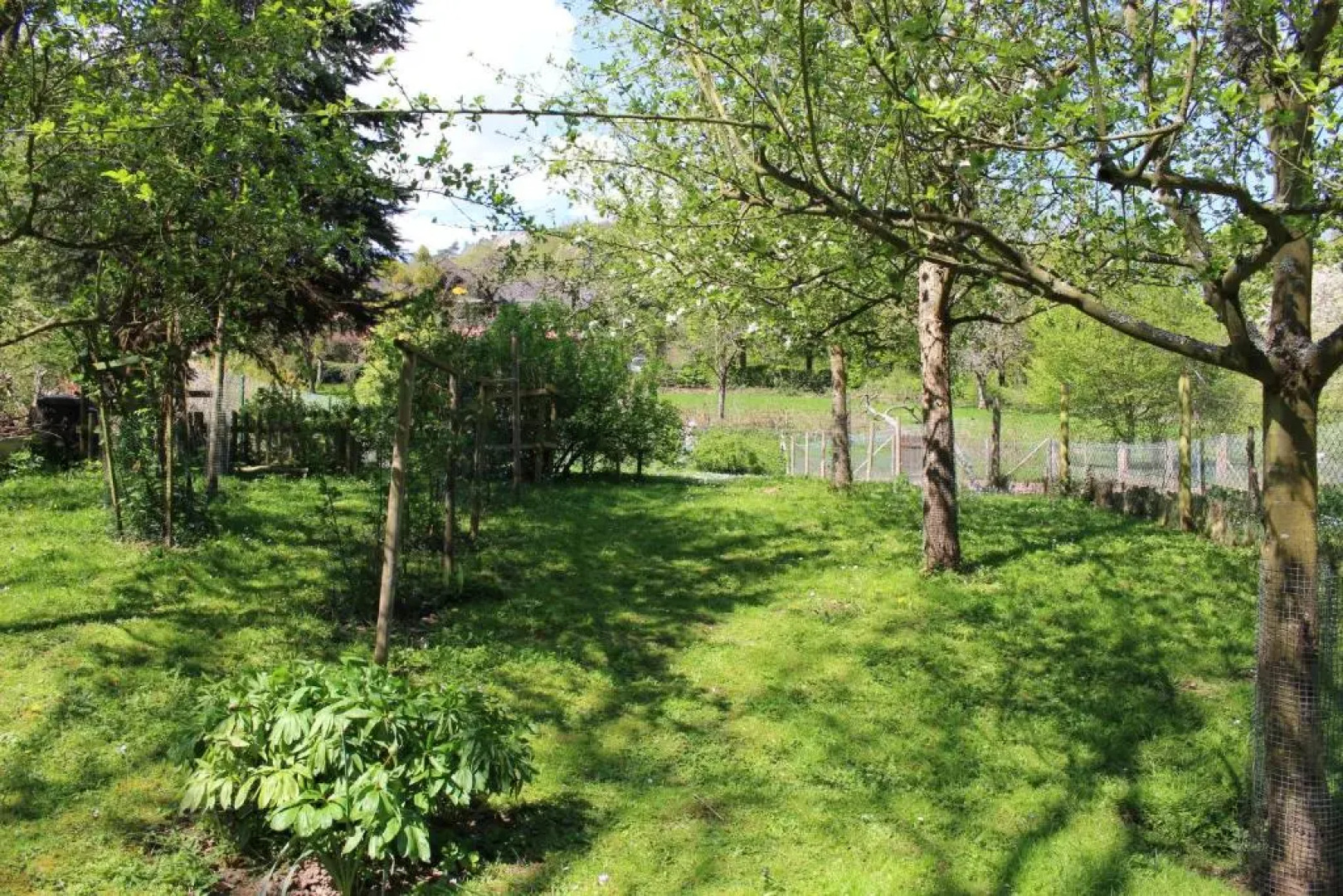 Ferienwohnung Burgsicht