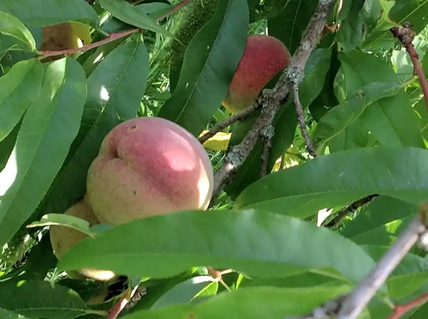 Chambre Privative Et Originale, a 20 Mn de Cluny