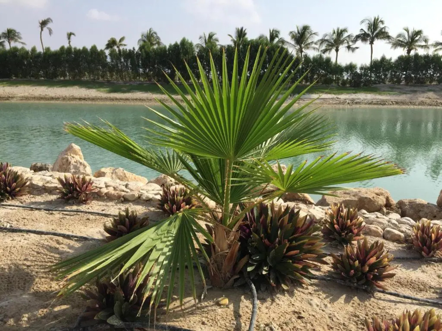 New Luxury Suite - Amazing Views & Lovely Garden