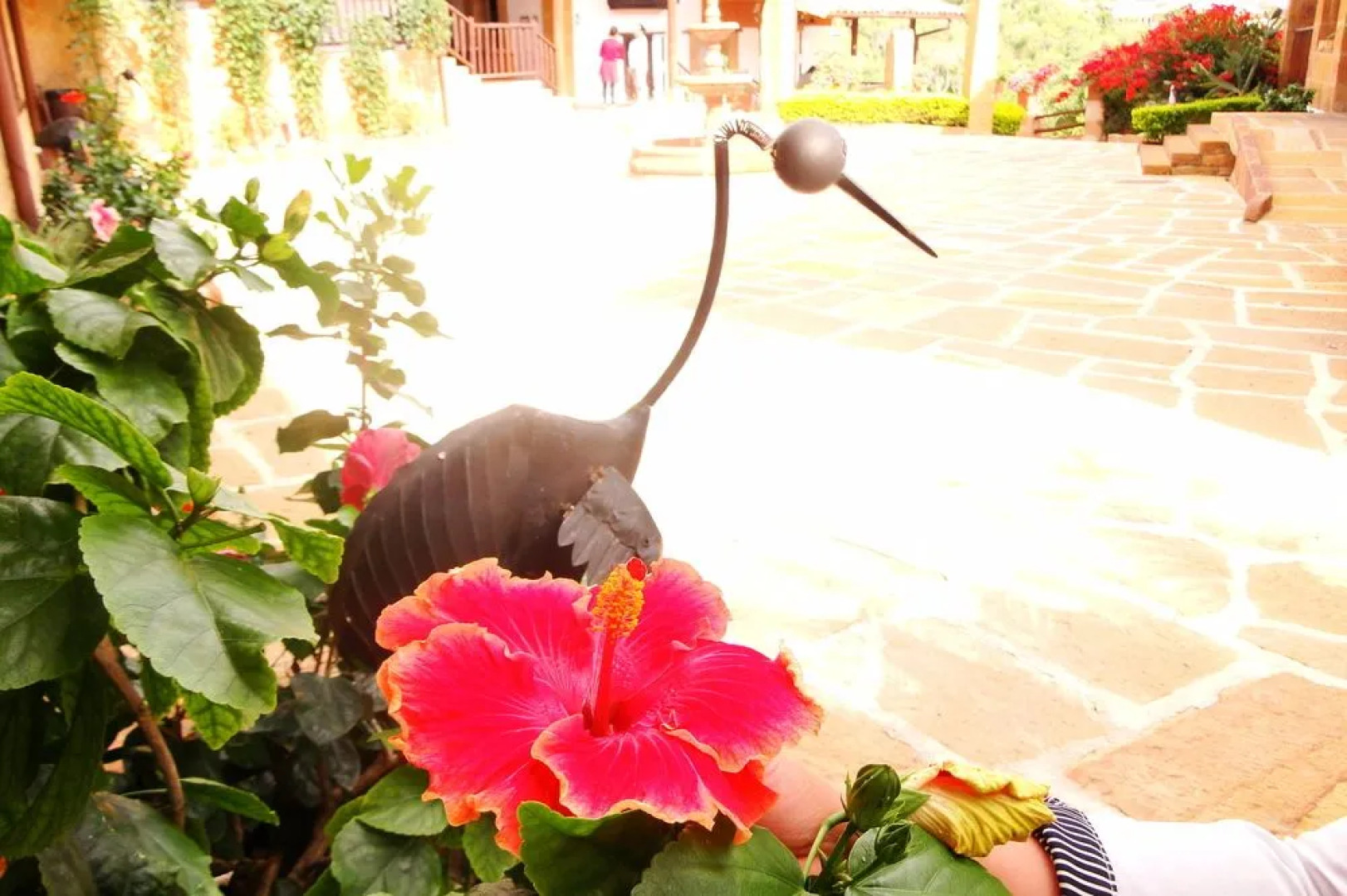 Hicasua Hotel Boutique