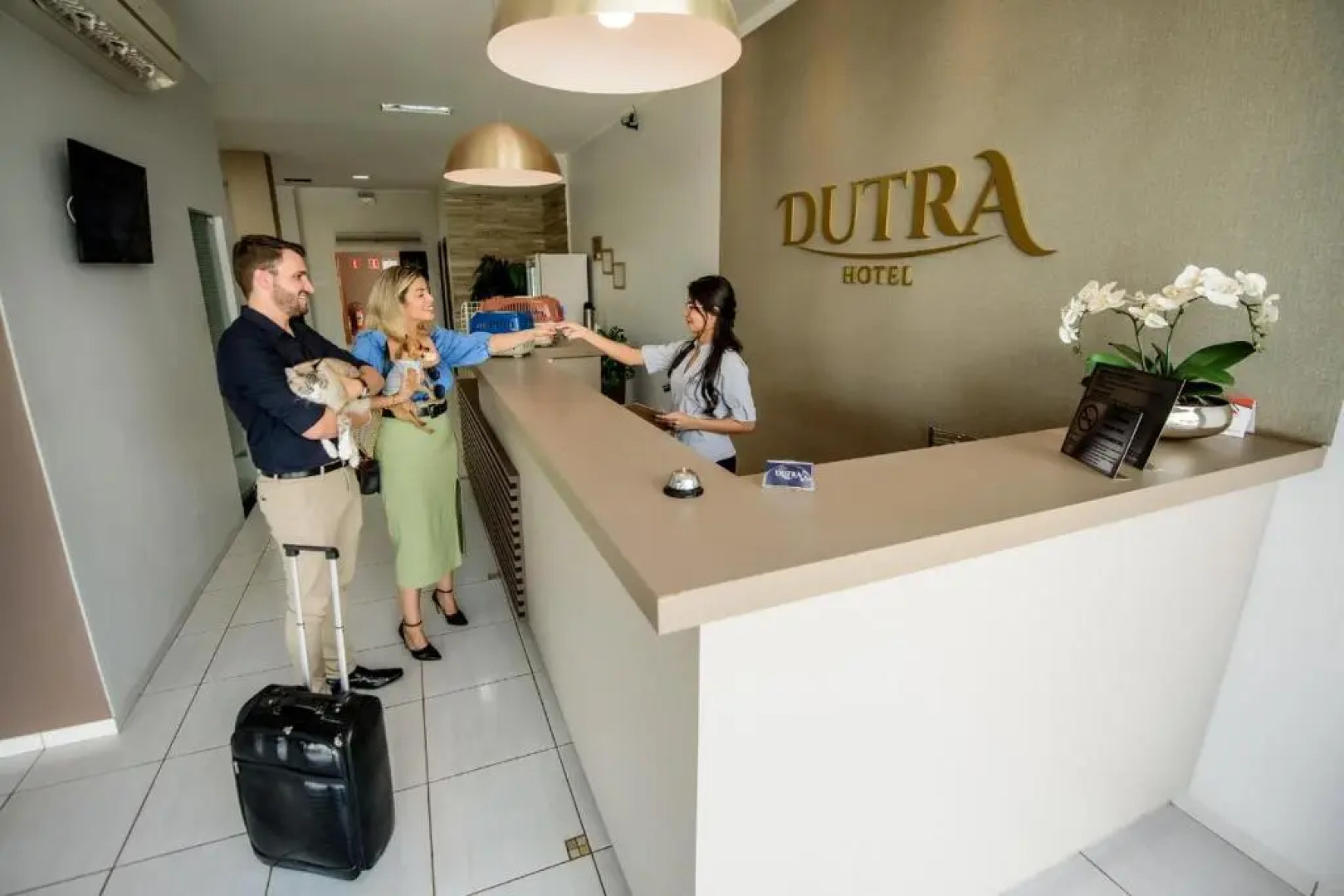 Hotel Dutra