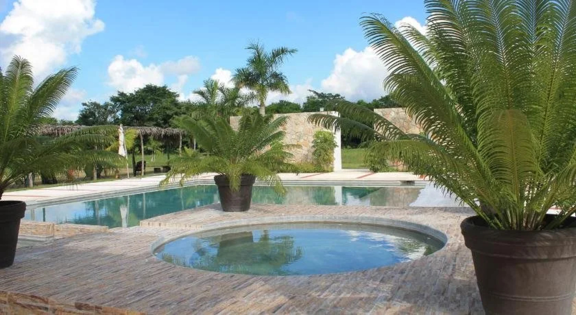 Real Primaveras Campestre