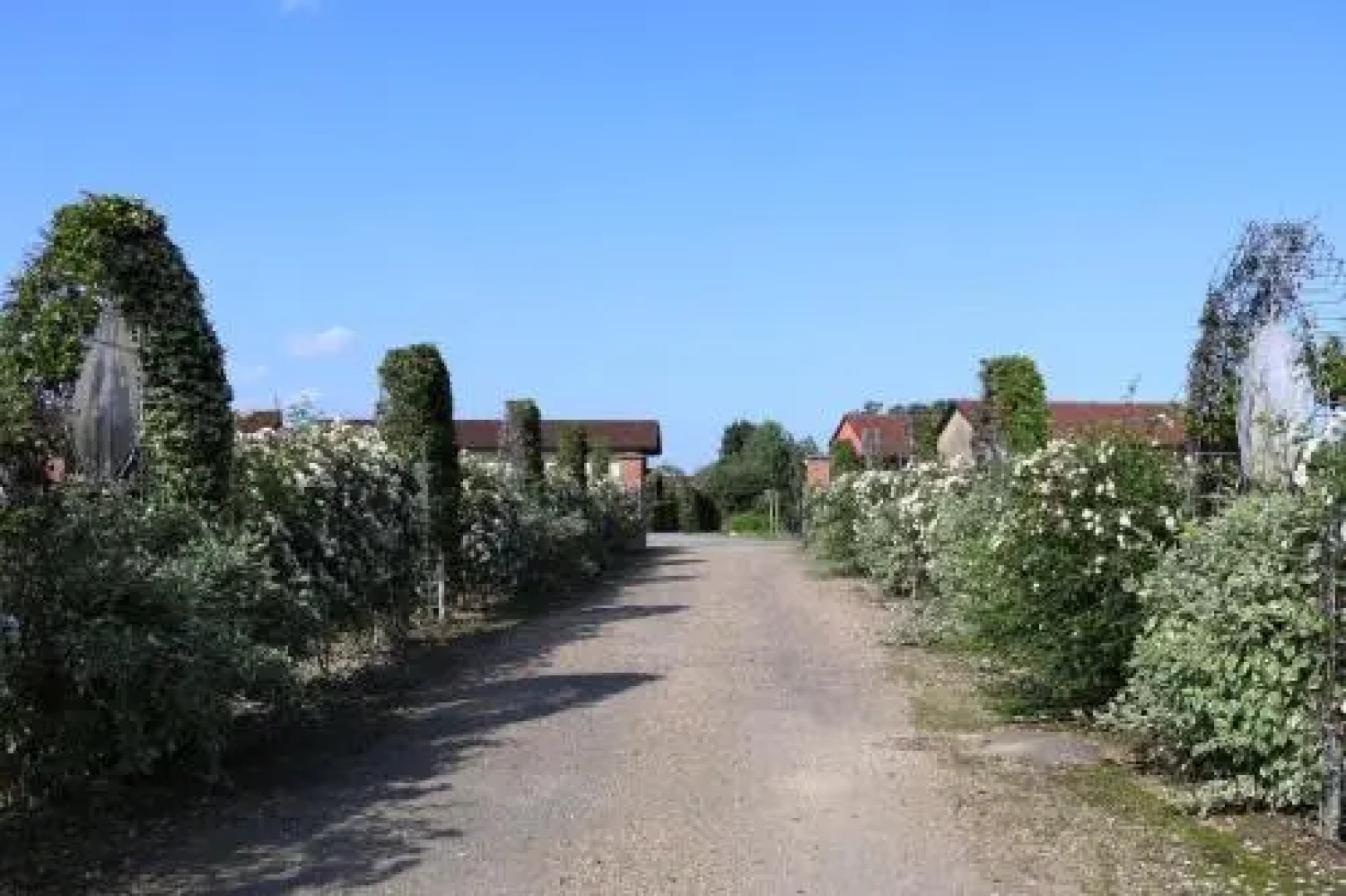Agriturismo La Ca 'd Majin