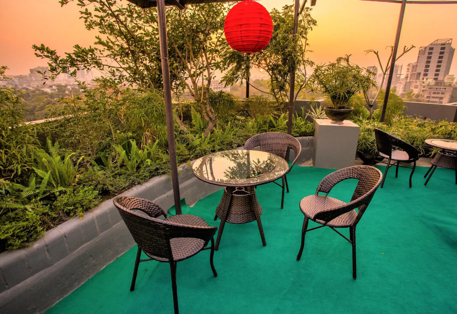Hotel Tropical Daisy