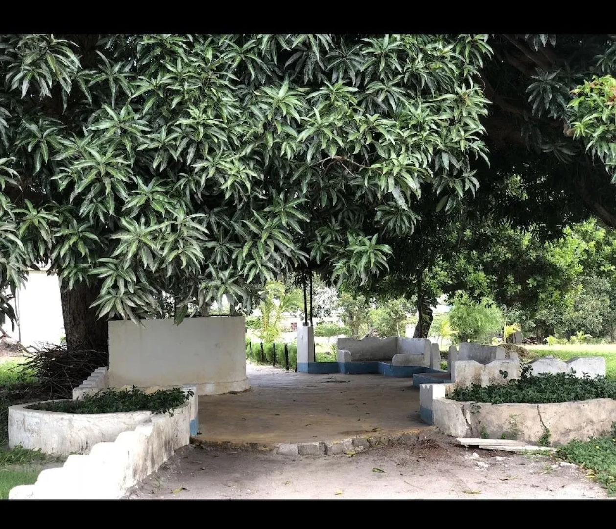 Sea Front Mafia Lodge