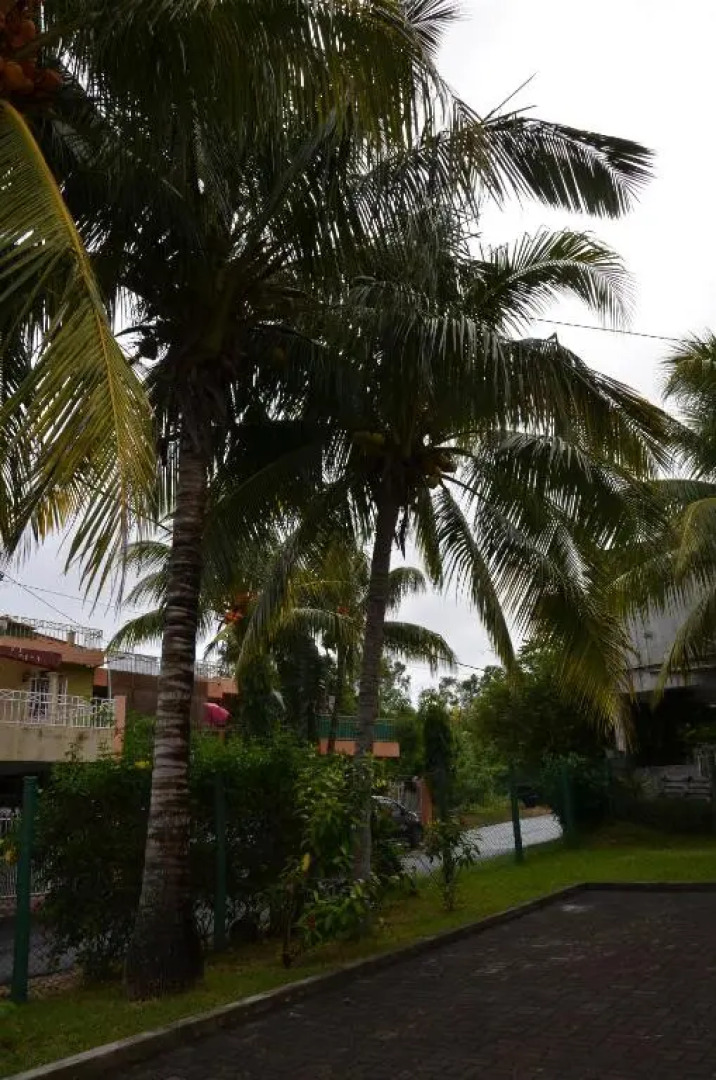 Les Gentilhommieres Guest House