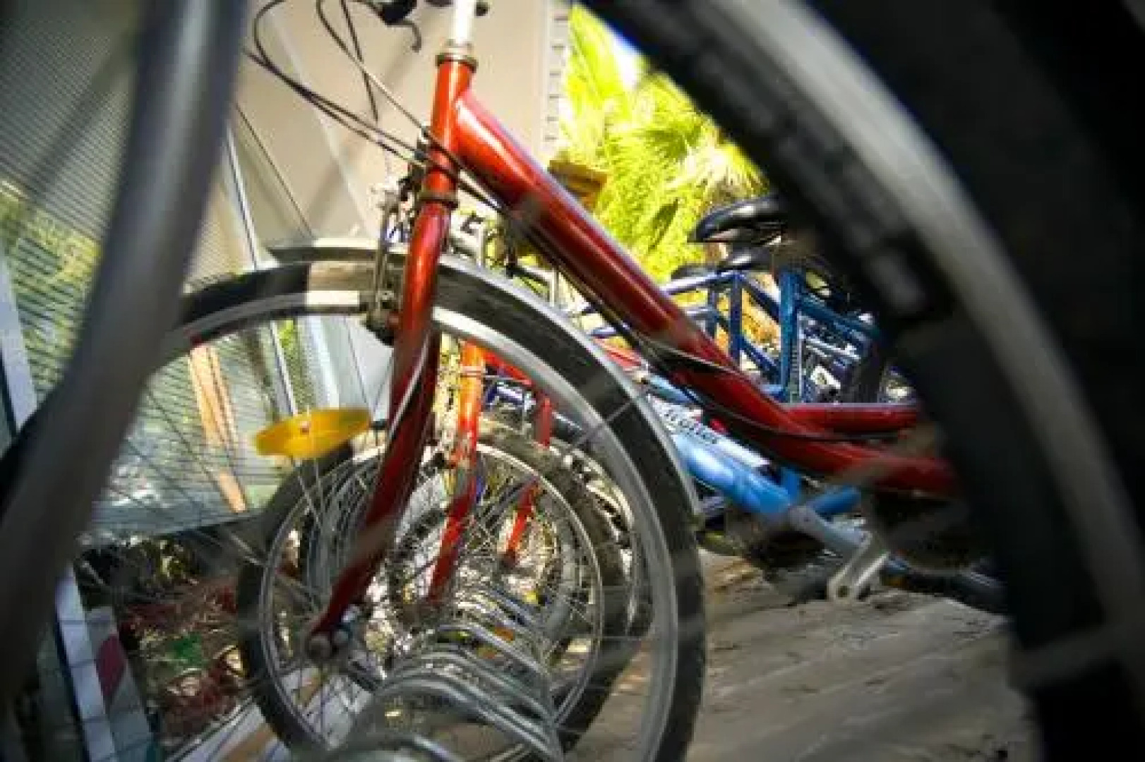 Las Palmeras Camping & Bungalow