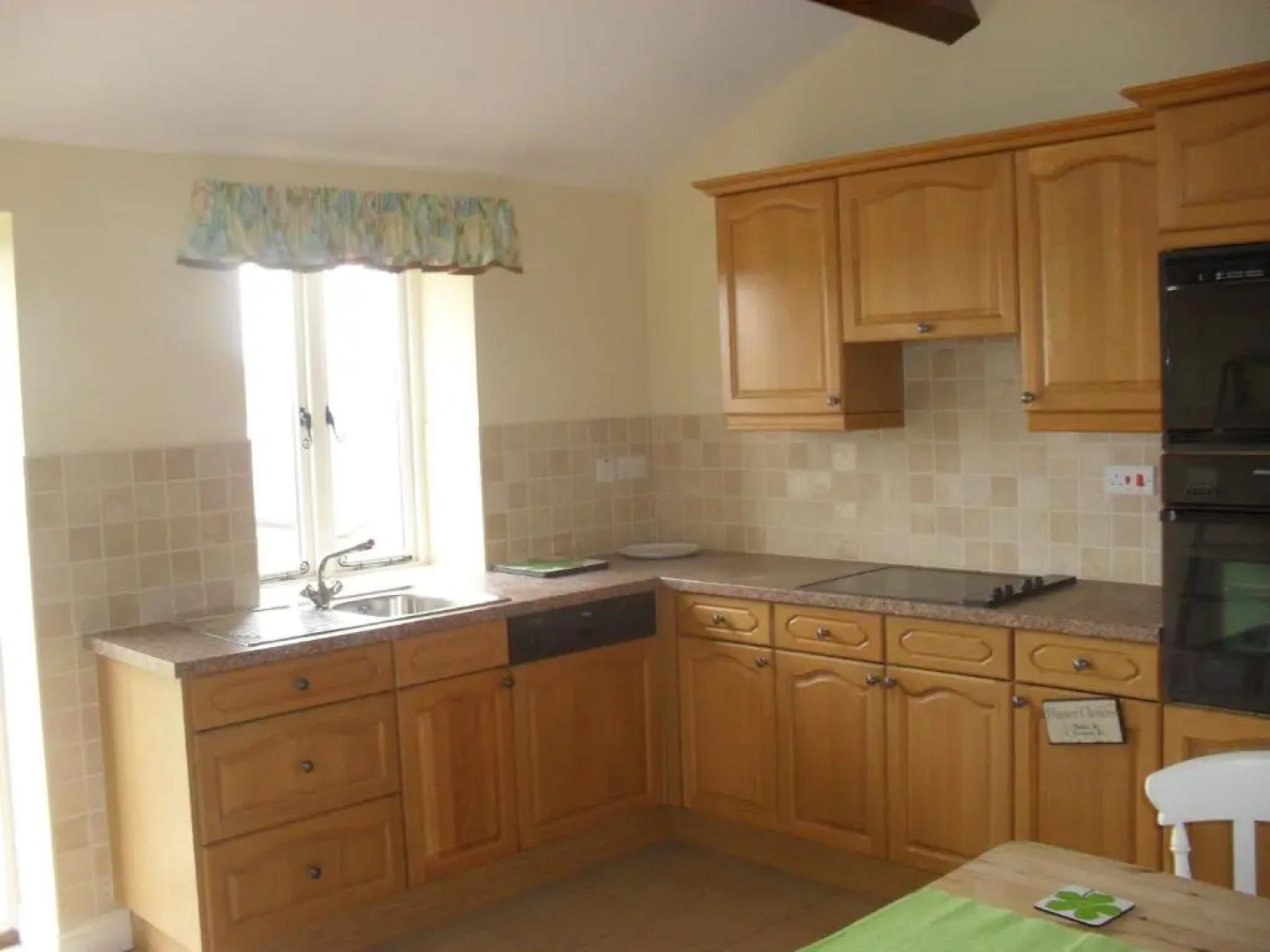 Bluebell at Gaer Fawr