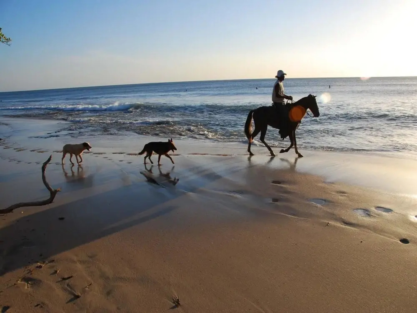 Hacienda-style Villa With Pool and Sweeping Ocean Views Above Potrero