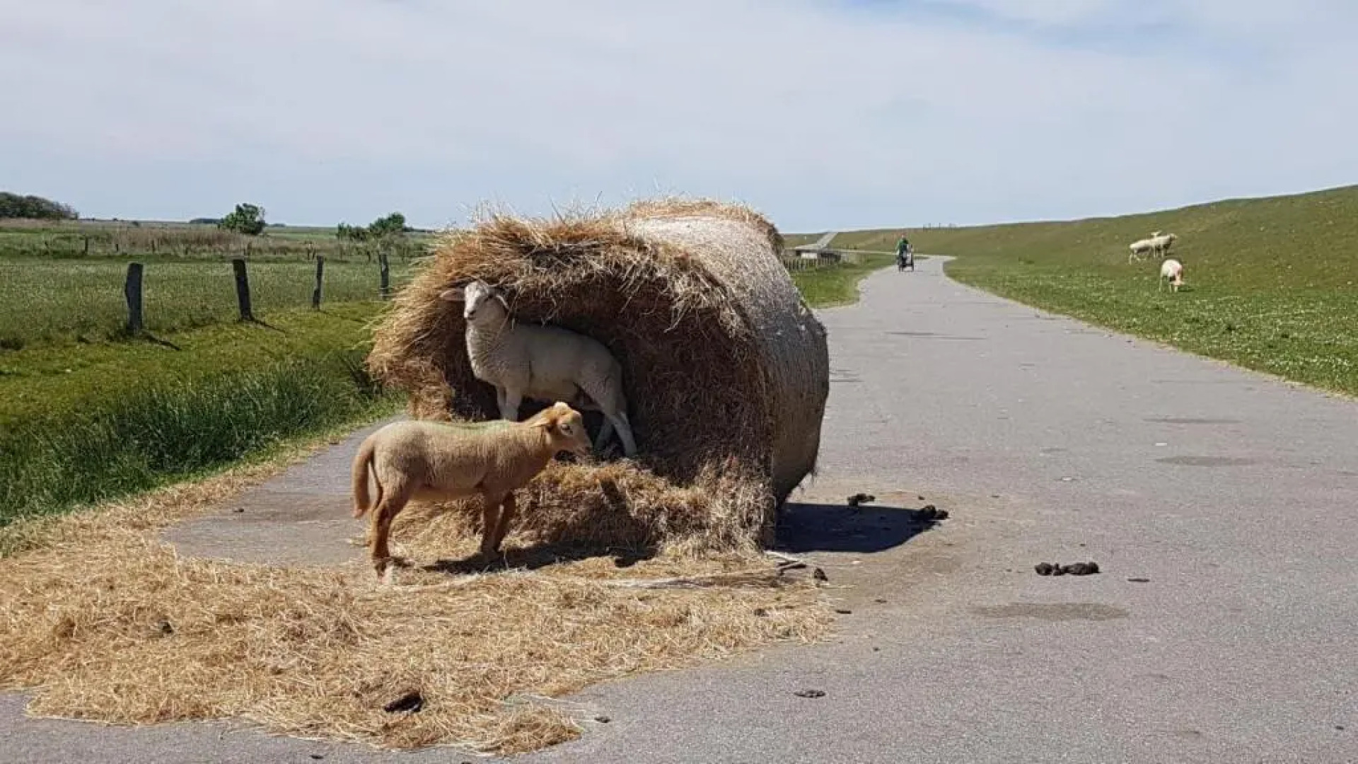 Wohnung-Felsenauster-im-Haus-Muschelgarten