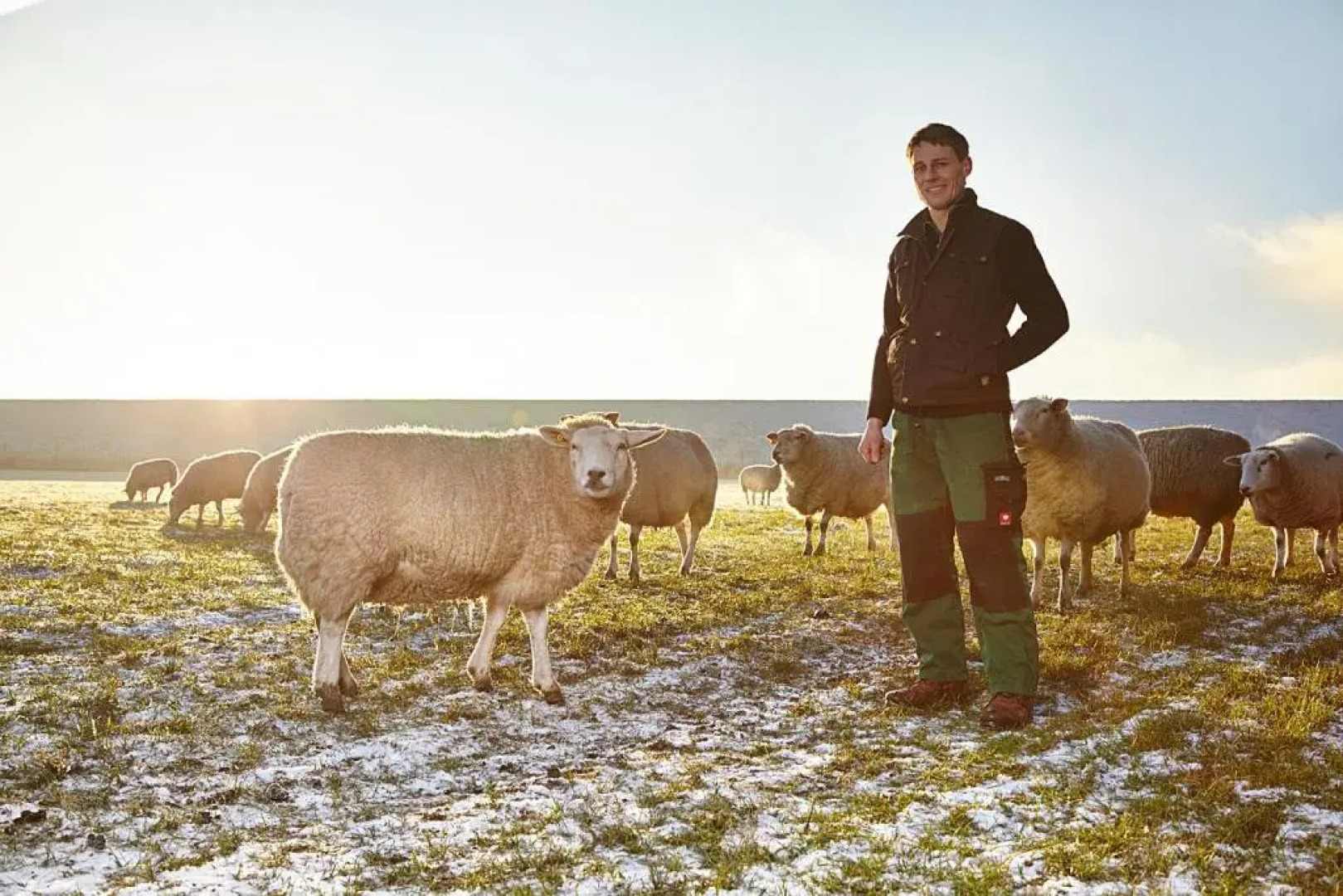 Schäferwagen Tiny House auf dem Friesenhof