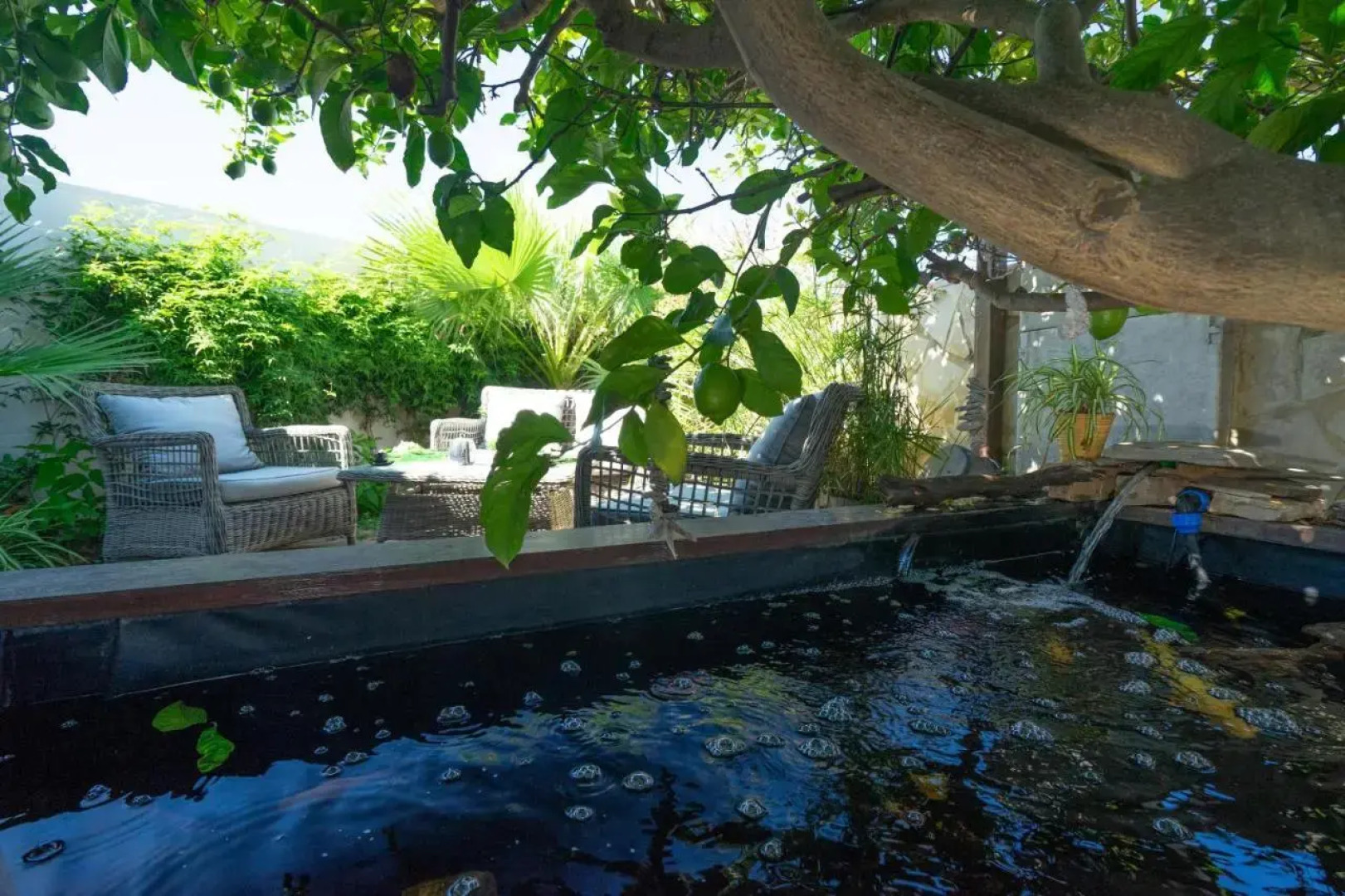 El Boticari by Aguilarent