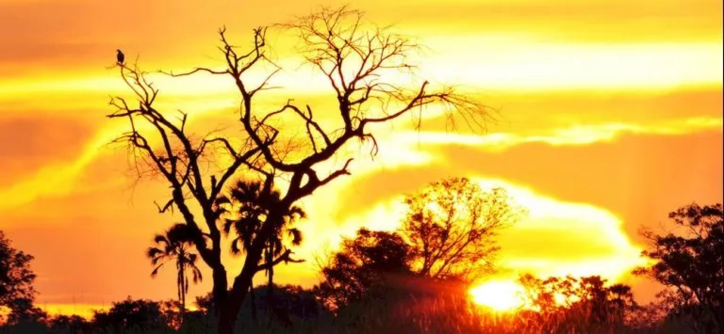 Sanctuary Baines’ Camp