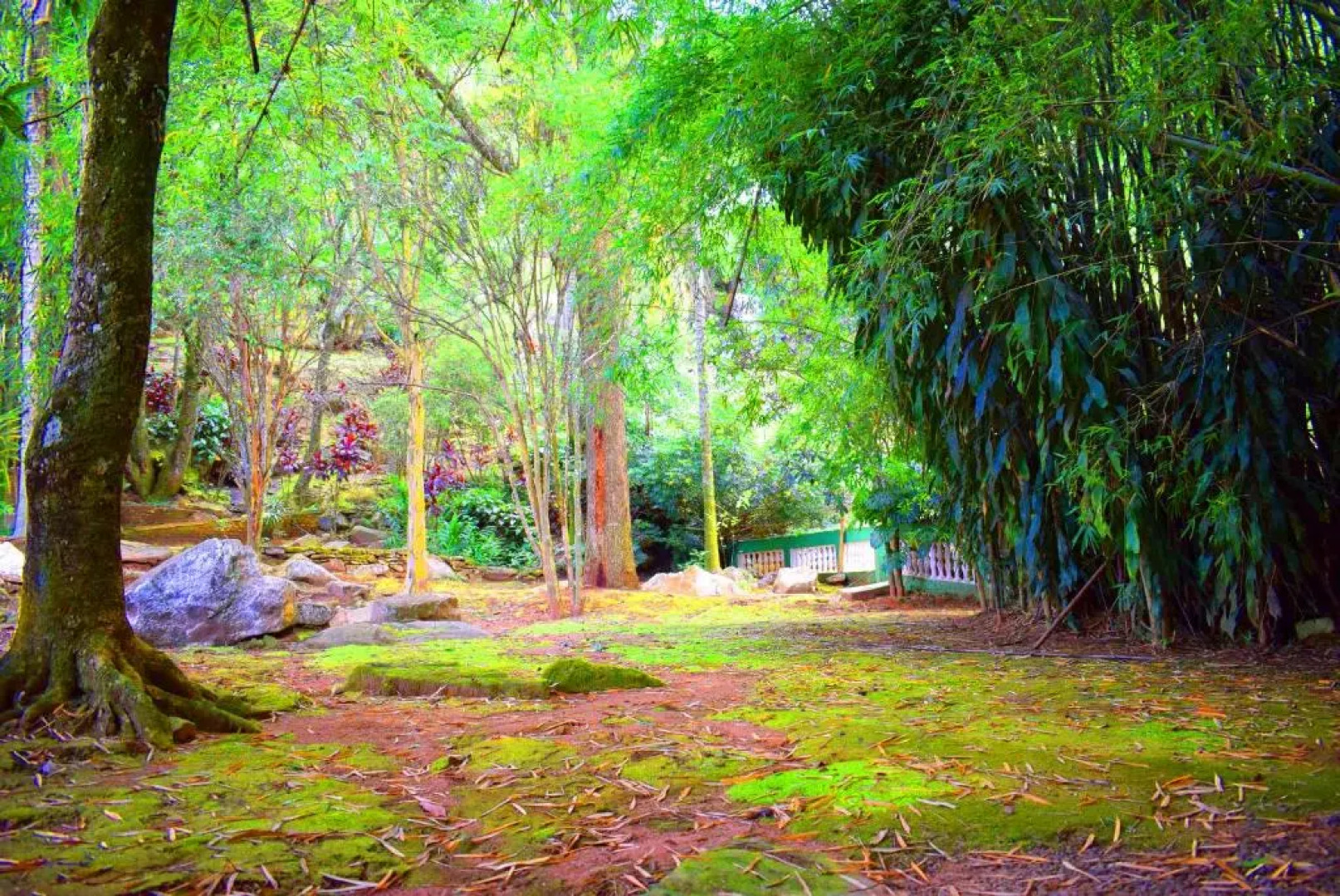 Hotel Moinho de Pedra