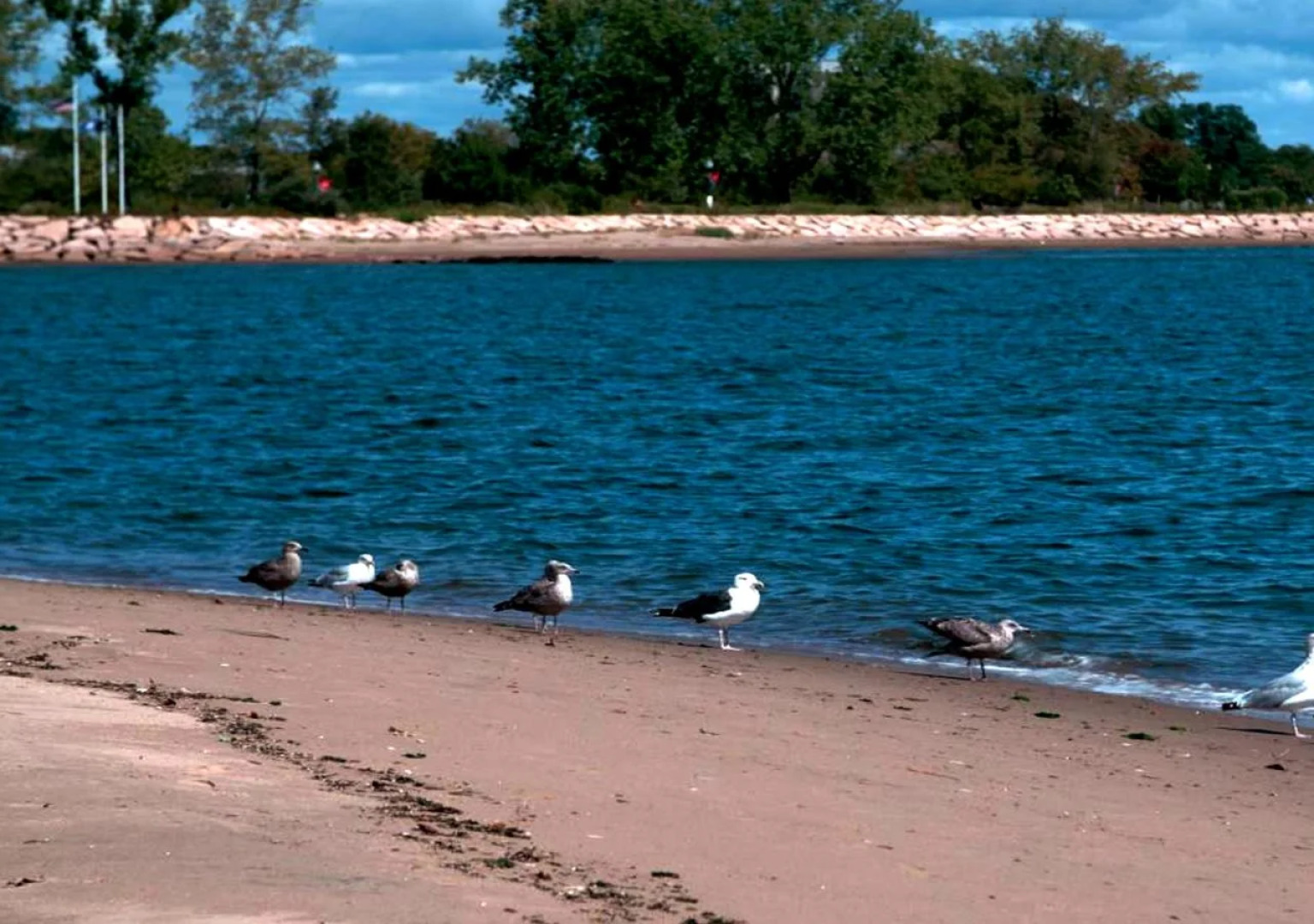 Best Western Executive Hotel Of New Haven - West Haven