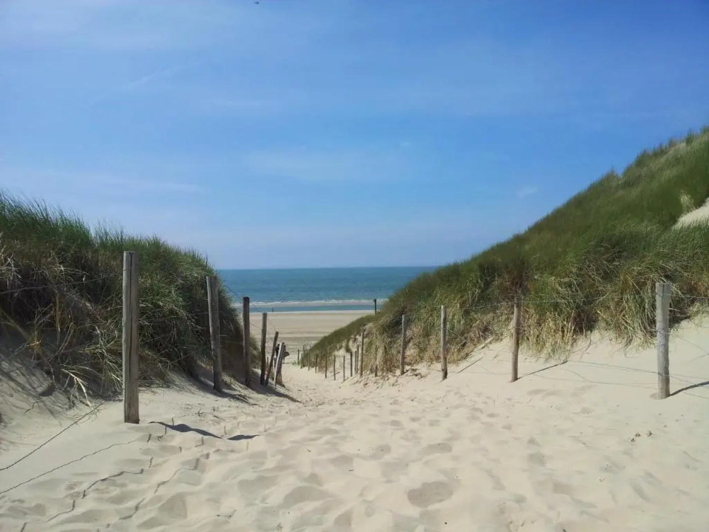 Zomerhuis De Zeedistel