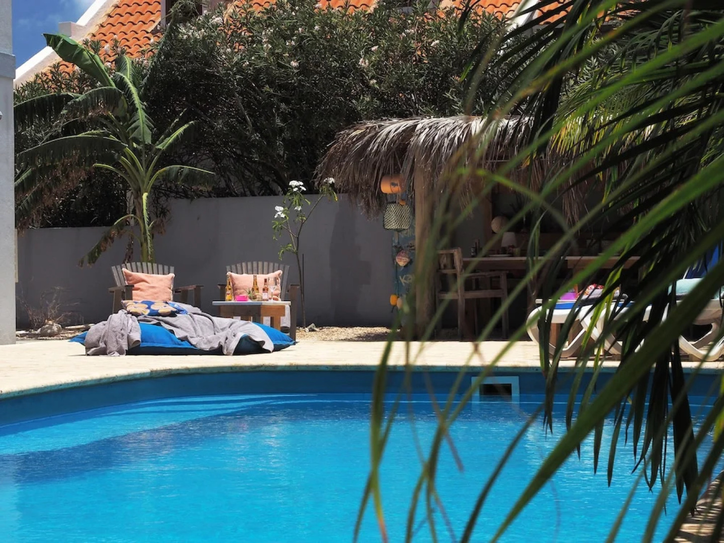 Oasis Guesthouse Bonaire Superior Suite