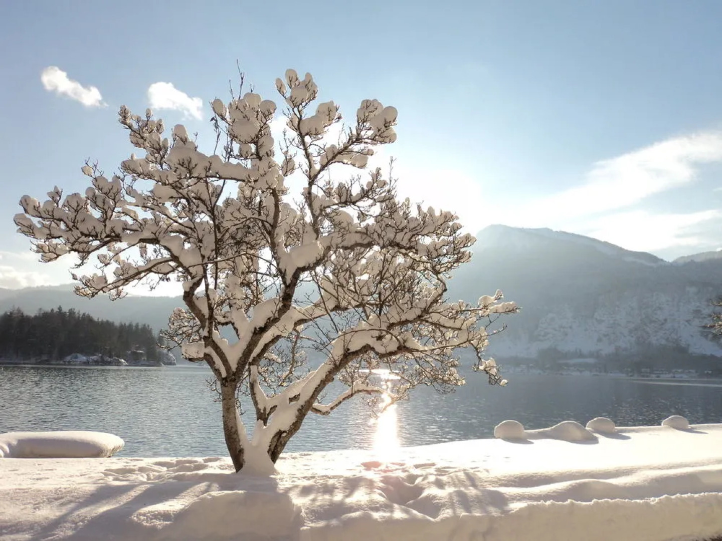 Gasthof Hotel Fürberg