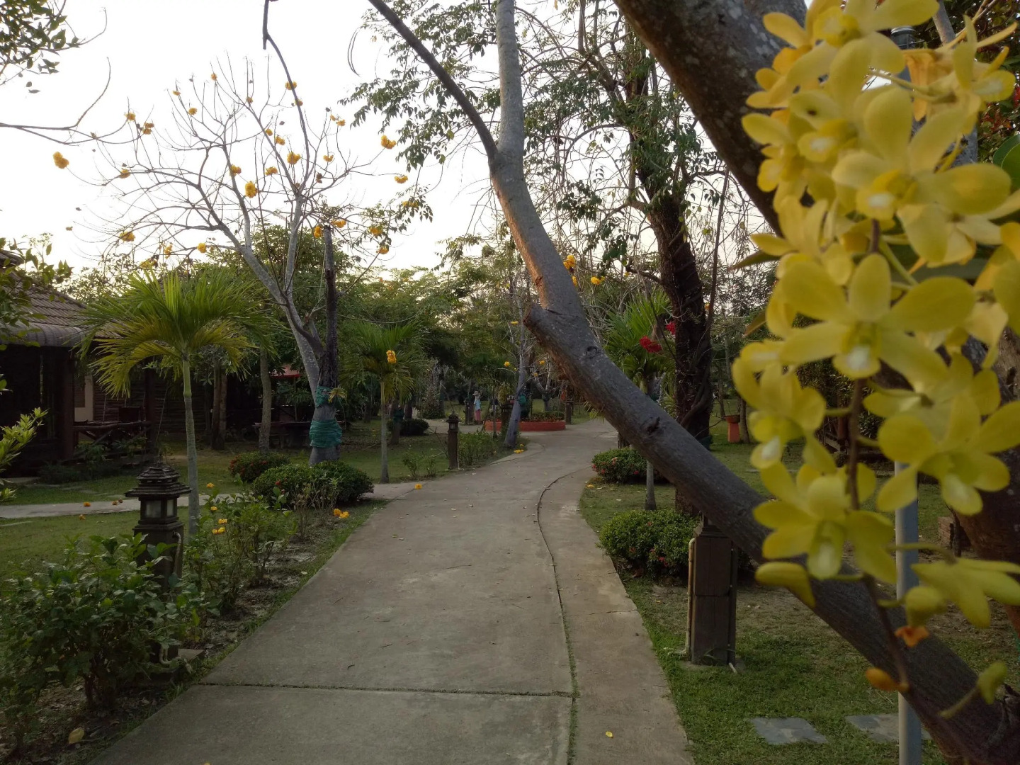 Indie House @ Maerim