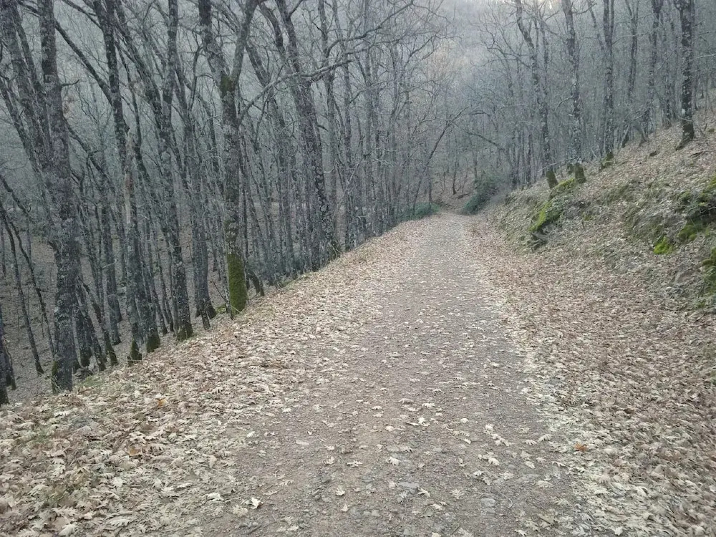 Casa Rural Las Navillas