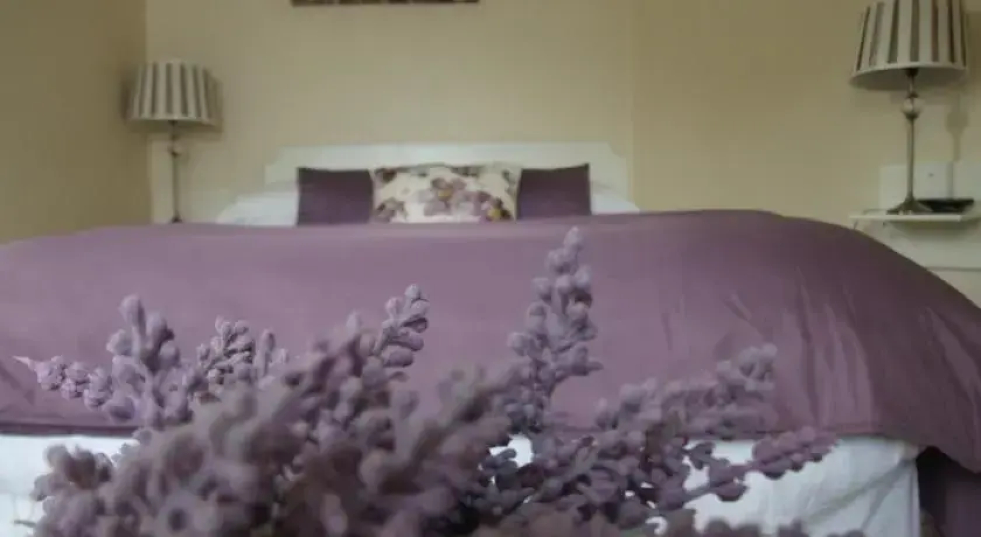 Oaklodge B&B