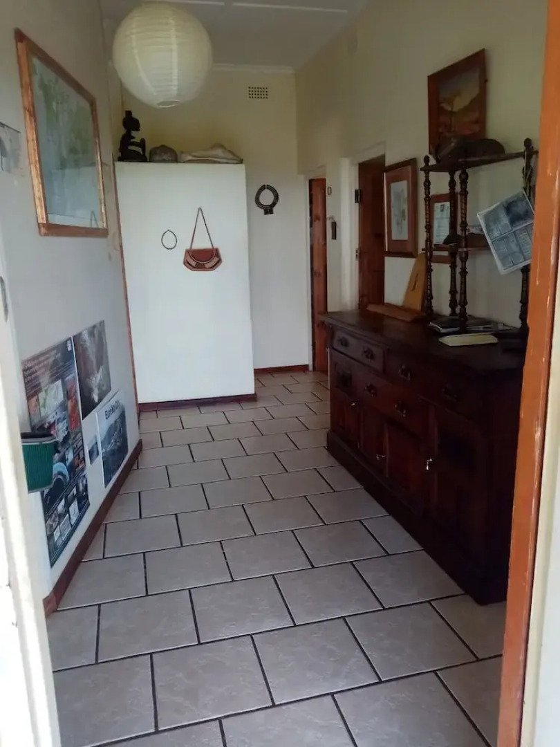 Bushwhacked Barberton