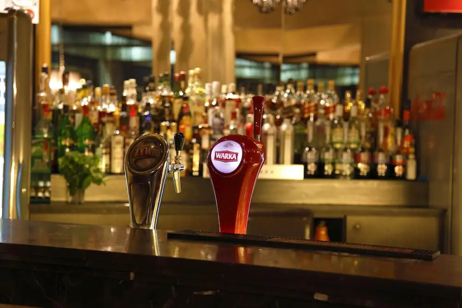 Hotel Iskierka Business & Spa