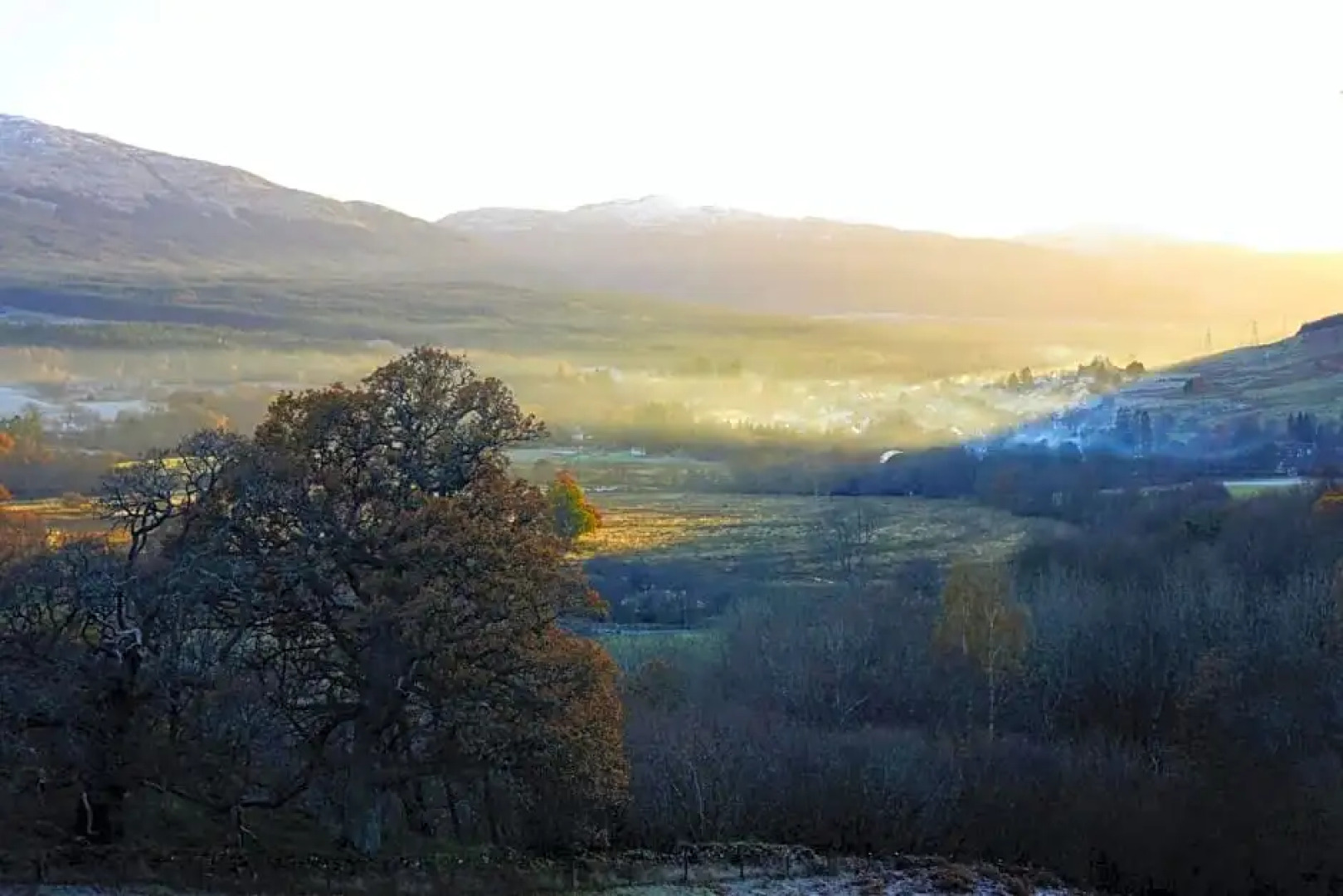 Cosy Rowan woodland lodge no3