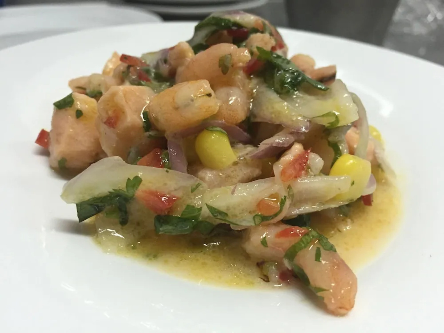 Hotel Viña La Playa