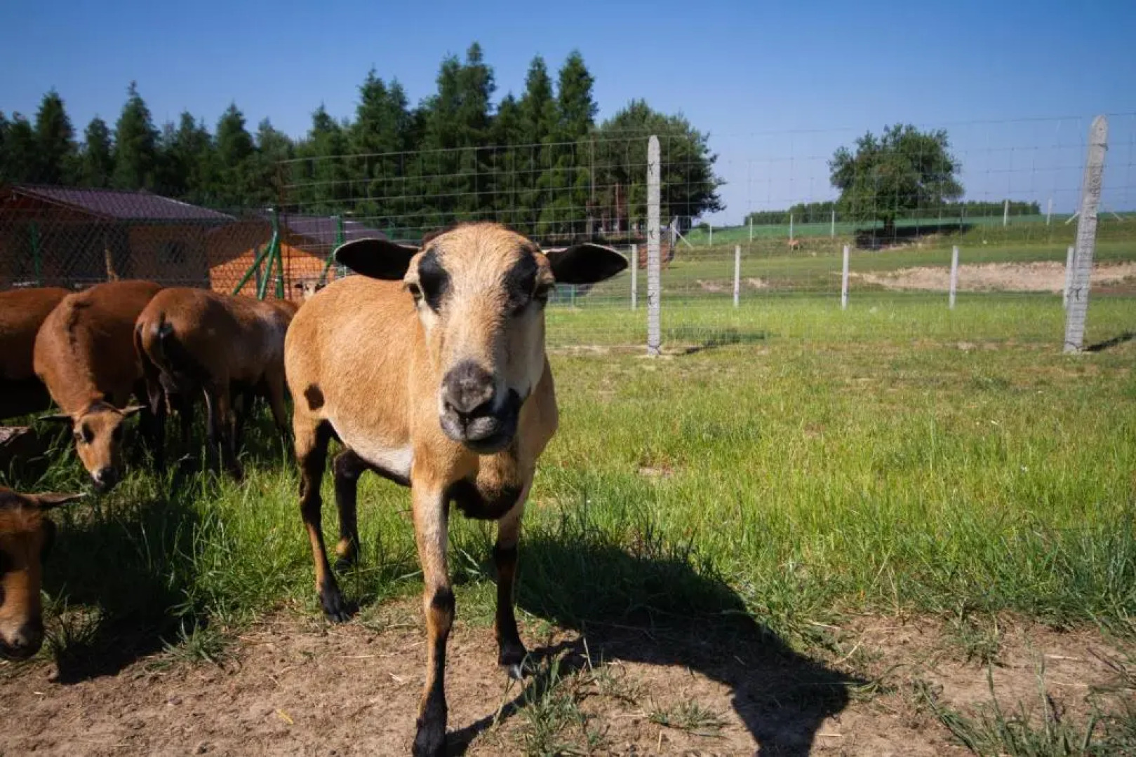 Zagroda Nad Kotelnią