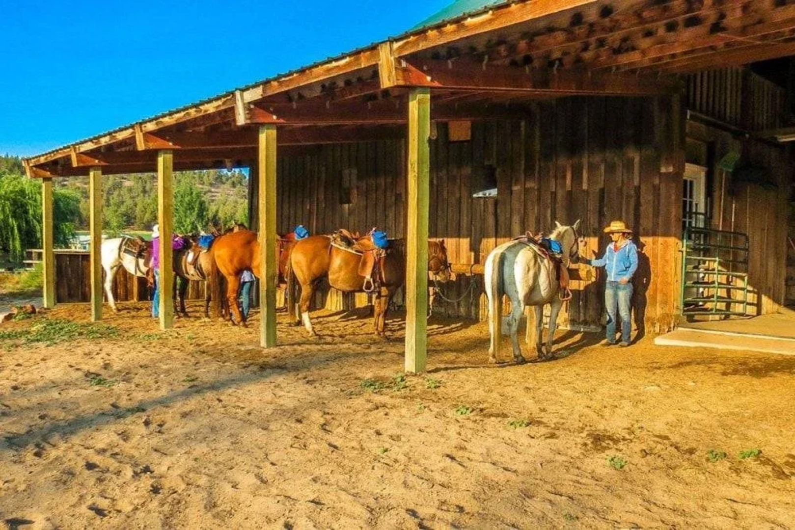 Long Hollow Guest Ranch