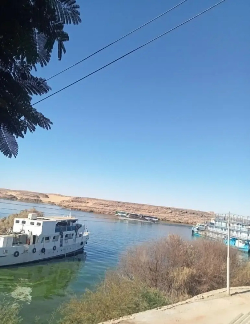 tut amun guest house